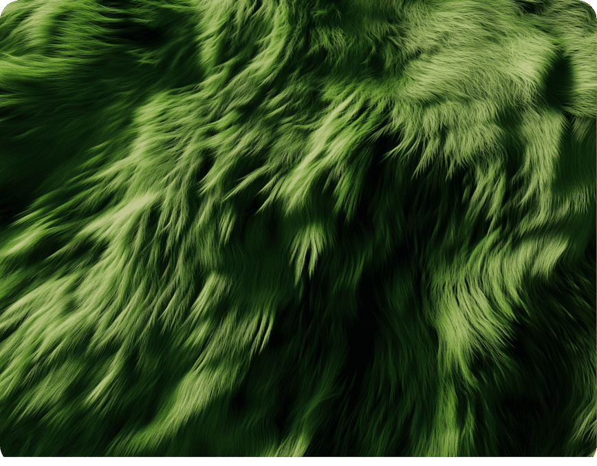 Branding and
Activation