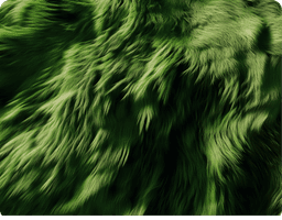 Branding and
Activation